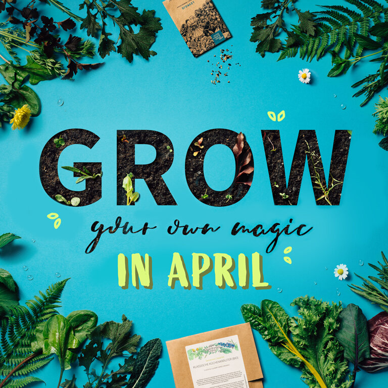 ¿Qué plantas se pueden sembrar directamente al aire libre en abril?