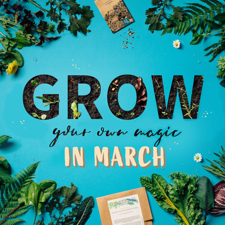 ¿Qué plantas se pueden sembrar directamente al aire libre en marzo?
