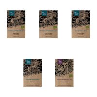 Plantas celtas de incienso -Set de regalo de semillas
