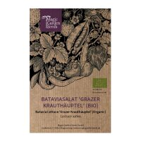 Lechuga batavia Grazer Krauthäuptel (Lactuca sativa)...