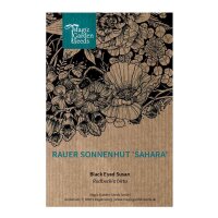 Rudbeckia Sahara (Rudbeckia hirta) semillas