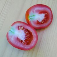 Tomato De Berao (Solanum lycopersicum) organic semillas