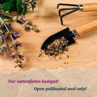 Hortalizas para principiantes para cultivar en balcones y jardines (Orgánicas) - Set de semillas