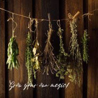 Wondrous World of Herbs - Organic seed saving kit for all herb gardeners