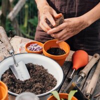 Nuestras plantas favoritas: hortalizas para jardineros urbanos (Orgánicas) - Set de regalo de semillas