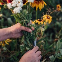 Nuestras plantas favoritas: plantas perennes y flores de verano para los amantes de las flores (Orgánico) - Set de regalo de semillas