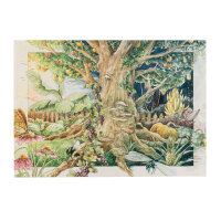 Nuestras plantas favoritas: plantas perennes y flores de verano para los amantes de las flores (Orgánico) - Set de semillas