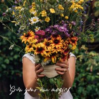 Nuestras plantas favoritas: Flores silvestres para aficionados (Orgánicas) - Set de semillas