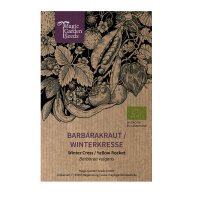 Hierba de Santa Bárbara (Barbarea vulgaris) semillas