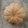 Calabaza moscada Musquée de Provence (Cucurbita moschata) semillas