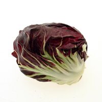 Radicchio "Palla Rossa" (Cichorium intybus var. foliosum) semillas