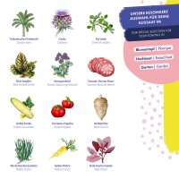 Semillas de hortalizas - 12 variedades de hortalizas antiguas de alta germinación - casi olvidadas y deliciosas - Set de semillas para principiantes