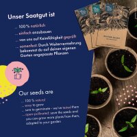 Semillas de hortalizas - 12 variedades de hortalizas antiguas de alta germinación - casi olvidadas y deliciosas - Set de semillas para principiantes