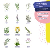 Semillas de hierbas medicinales - 12 variedades de hierbas medicinales de alta germinación - tradicionales y benéficas - set de semillas para principiantes