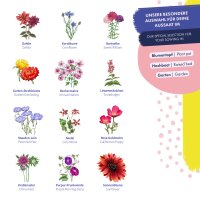 Semillas de flores - 12 variedades de flores de fácil germinación- Silvestres y coloridas - Set de semillas para principiantes