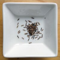 Helenio/ Elecampana/ Énula (Inula helenium) semillas