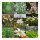 El Mar de Flores Blancas - Set de regalo- Semillas