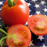 Tomate Hellfrucht (Solanum lycopersicum) semillas