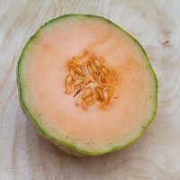 Melón charentais cantaloupe (Cucumis melo) semillas