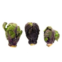 Coles de bruselas rojas Red Ball (Brassica oleracea var.gemmifera) semillas