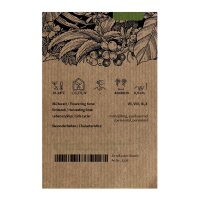 Achira / Caña de Indias (Canna indica) semillas
