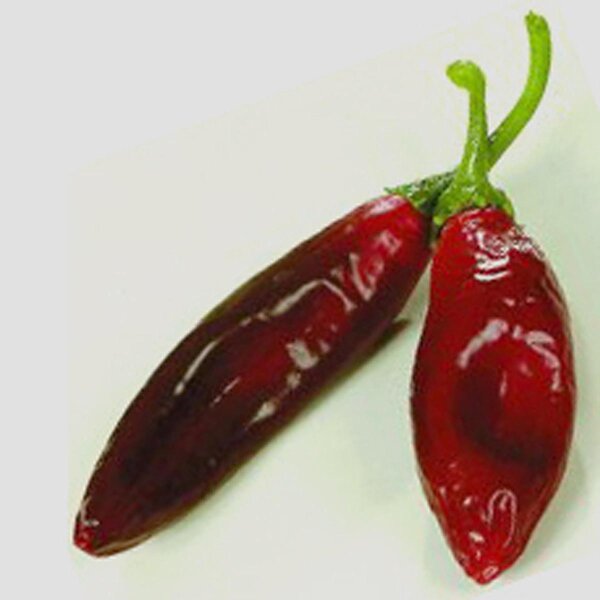 Chile Guajillo (Capsicum annuum) semillas