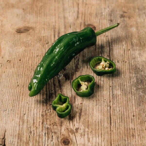 Pimientos de Padrón (Capsicum annuum) semillas