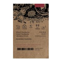 Chile brasileño Pimenta Barra Do Ribeiro (Capsicum baccatum) semillas