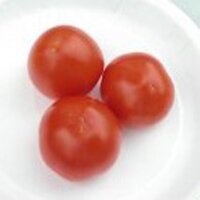 Tomate Alaska Wonder (Solanum lycopersicum) semillas