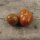 Tomate "Black pear" (Solanum lycopersicum) semillas