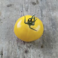 Tomate Sorbet De Citron (Solanum lycopersicum) semillas