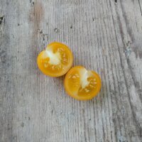 Tomate Cocktail Clementine (Solanum lycopersicum)