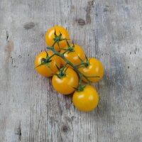 Tomate Cocktail Cytrynek Groniasty (Solanum lycopersicum)...