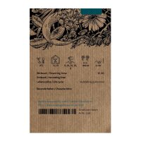 Astrágalo Huang-Qi (Astragalus membranaceus) semillas