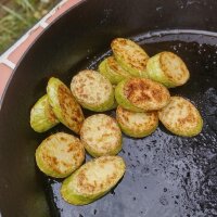 Calabaza trepadora Tromboncino dAlbenga (Cucurbita moschata) semillas