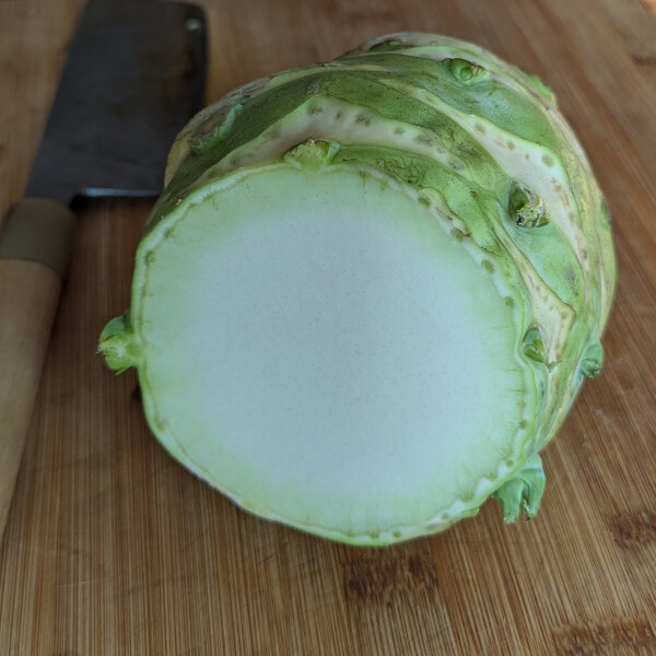 Col rábanao blanco gigante Superschmelz (Brassica oleracea var. gongylodes) orgánico semillas