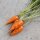 Zanahoria "Rodelika" (Daucus carota) orgánica semillas