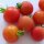 Tomate "Matina" (Solanum lycopersicum) orgánico semillas