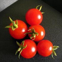Tomate en rama "Zuckertraube" (Solanum...