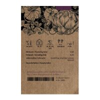 Nabito de Teltow (Brassica rapa var. teltowiensis) semillas