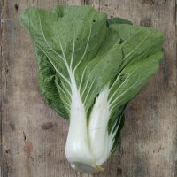 Repollo chino Pak Choi / Bok Choy (Brassica rapa, subsp....