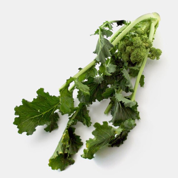 Nabo de grelo / Cima di Rapa (Brassica rapa sylvestris) semillas