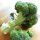 Brócoli Calabrese (Brassica oleracea) semillas
