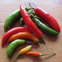 Chile Tabasco (Capsicum frutescens) semillas