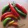 Chile Tabasco (Capsicum frutescens) semillas