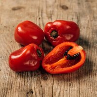 Chile manzano/ rocoto (Capsicum pubescens) semillas