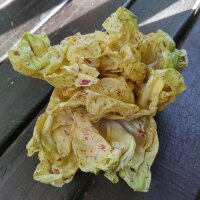 Radicchio / Escarola Variegata di Castelfranco (Cichorium...