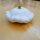 Calabaza Patisson blanca Custard White (Cucurbita pepo) semillas