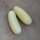 Pepino blanco White Wonder (Cucumis sativus) semillas