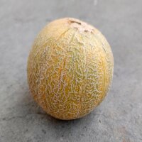 Melón Blenheim Orange (Cucumis melo) semillas